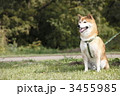 3455985