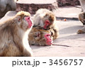 ZOO