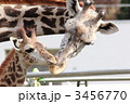 ＺＯＯ