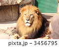 ＺＯＯ