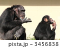 ＺＯＯ