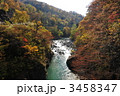 秋山郷猿飛橋