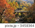 秋山郷猿飛橋