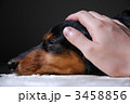 よしよし