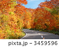 八幡平アスピーエラインの紅葉
