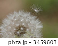 3459603