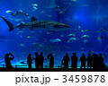 水族館