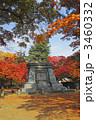 盛岡城跡公園の紅葉