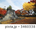 盛岡城跡公園の紅葉