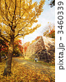 盛岡城跡公園の紅葉