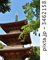世田谷区　豪徳寺