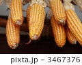 3467376