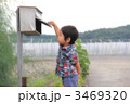 まだかなー