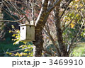 野鳥の巣箱