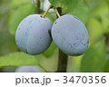 3470356