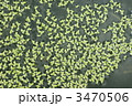3470506