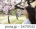 桜を見つめる女性 桜を見つめる女性