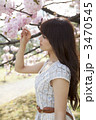 桜を見つめる女性 桜を見つめる女性