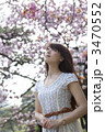 桜を見上げる女性 桜を見上げる女性