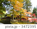 東照宮の秋
