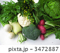 冬野菜いろいろ