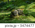 3474477