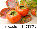 岐阜県産　富有柿