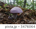3476064
