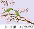 鶯と桜