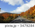 紅葉ドライブ