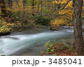秋の奥入瀬渓流