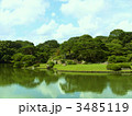 六義園　庭園の池