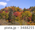ラルマナイ渓谷の紅葉