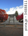 盛岡城跡公園の紅葉