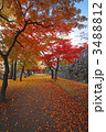盛岡城跡公園の紅葉