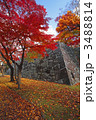 盛岡城跡公園の紅葉