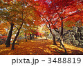 盛岡城跡公園の紅葉