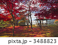 盛岡城跡公園の紅葉