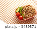 鶏そぼろ弁当