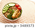 鶏そぼろ弁当