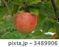 金星