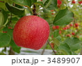 北斗