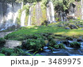 白糸の滝