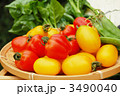 野菜