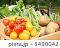 野菜の盛り合わせ