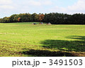 小岩井農場の風景