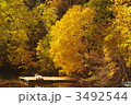3492544