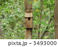 鳥の巣箱