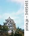 郡上八幡城