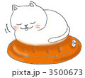 湯たんぽの上で寝る白猫